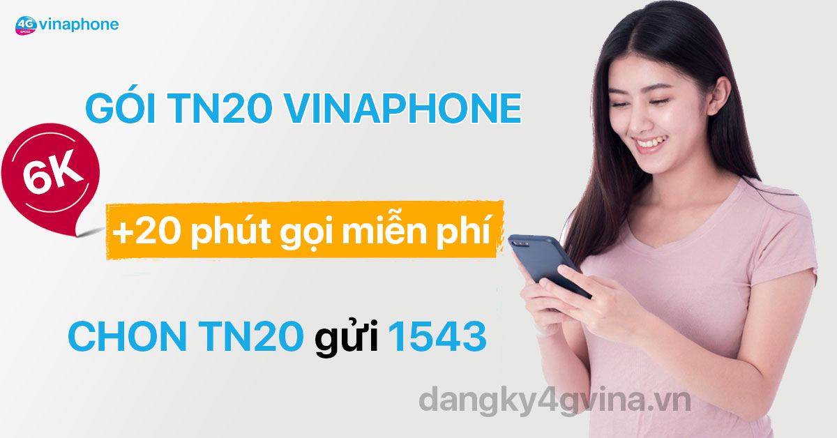 Gói TN20 VinaPhone