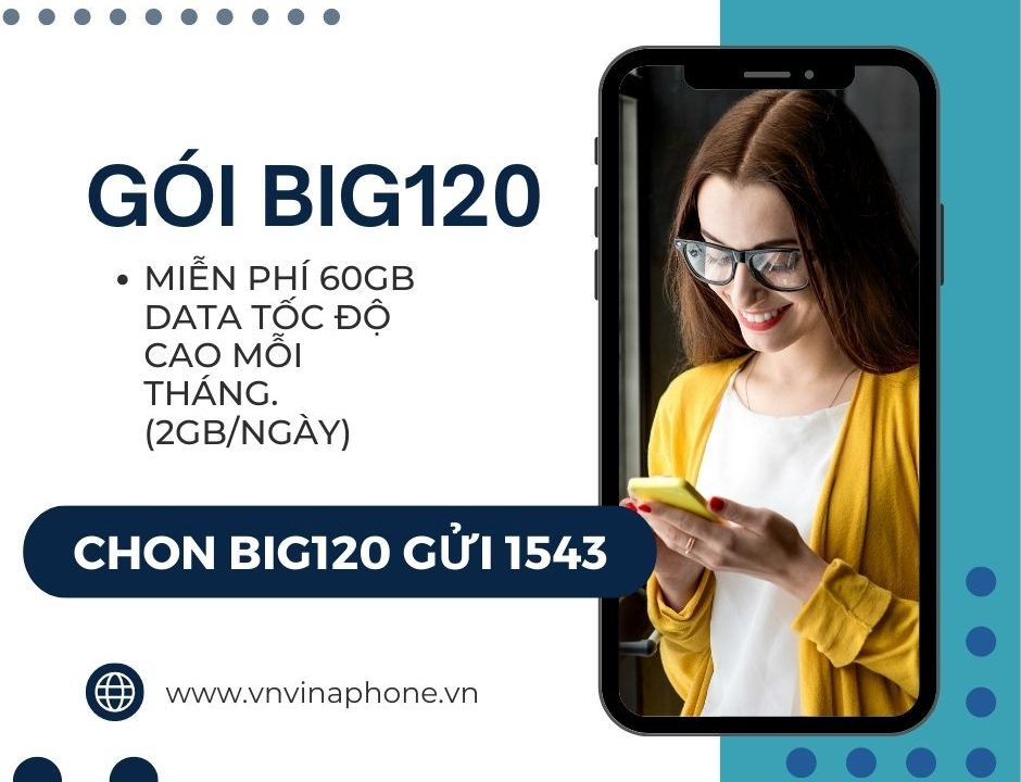 goi-big120-vinaphone